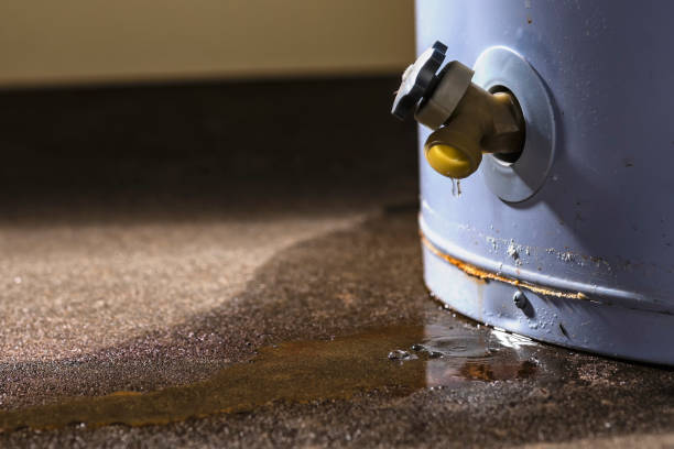 Best Water damage cleanup near me  in Deans, NJ