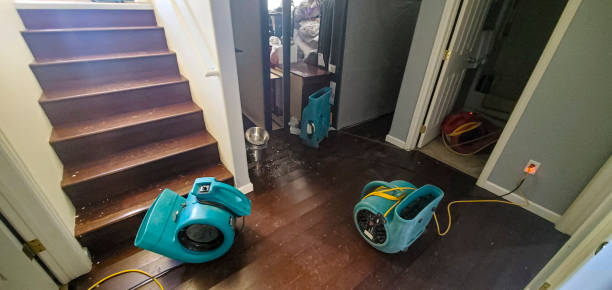Best Professional water damage repair  in Deans, NJ