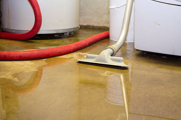 Best Water damage mitigation services  in Deans, NJ