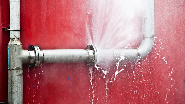 Best Flood damage cleanup  in Deans, NJ